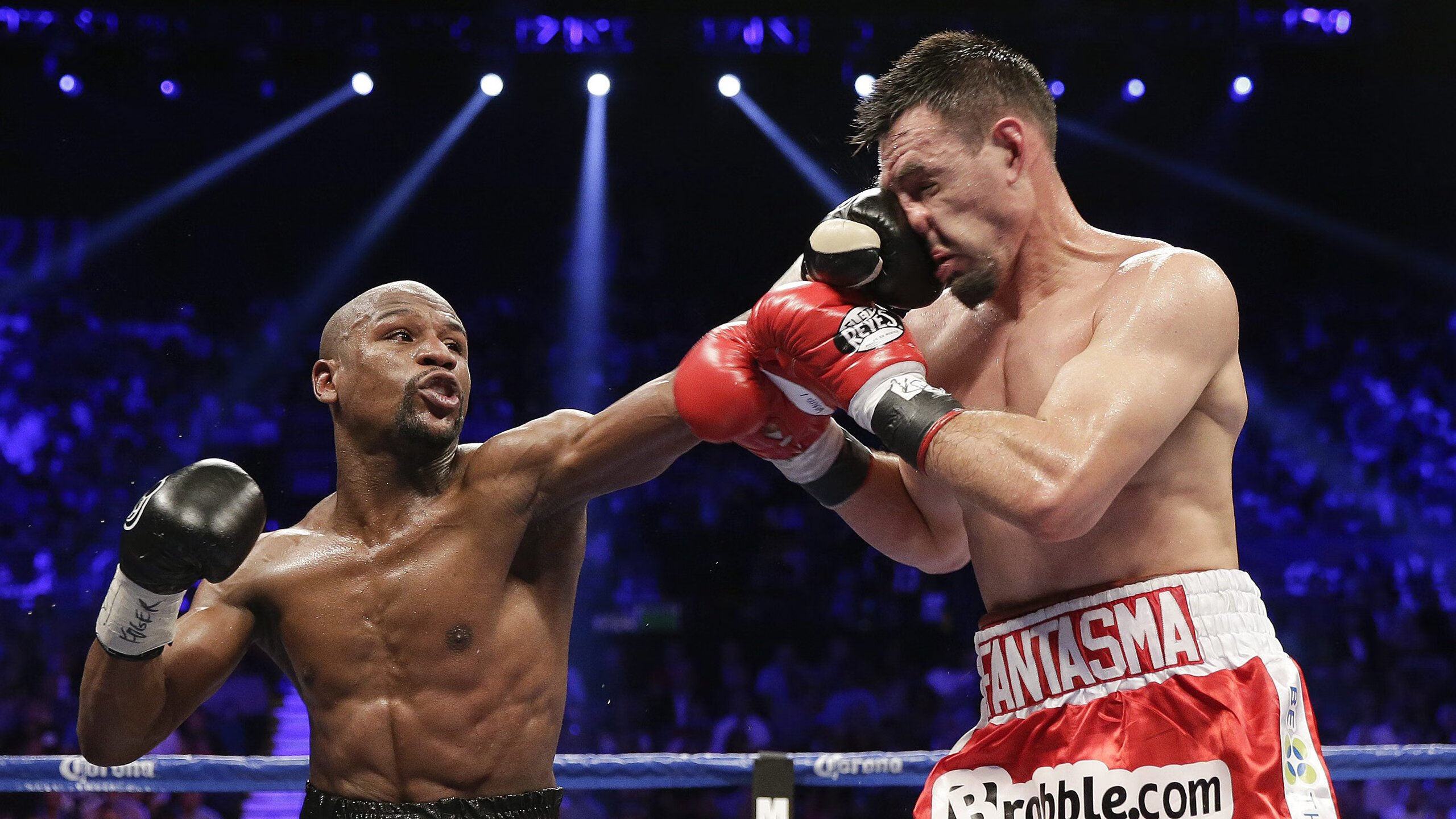 美洲杯创新的赛场环境设计,美洲杯奖杯设计